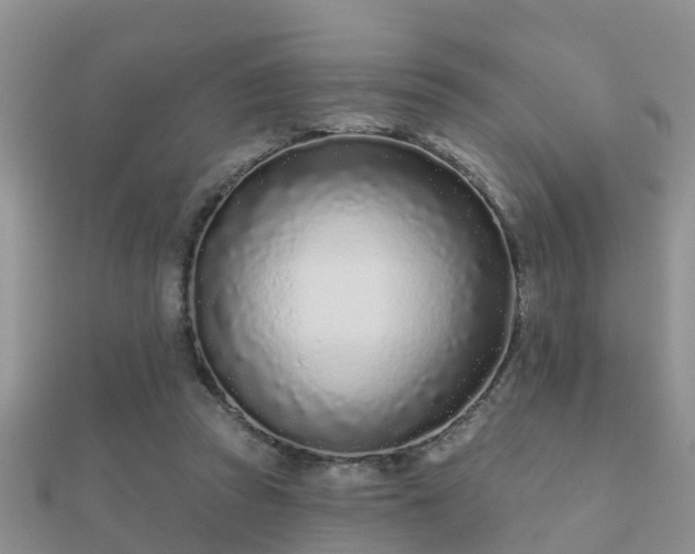 X0000112060353200908111417