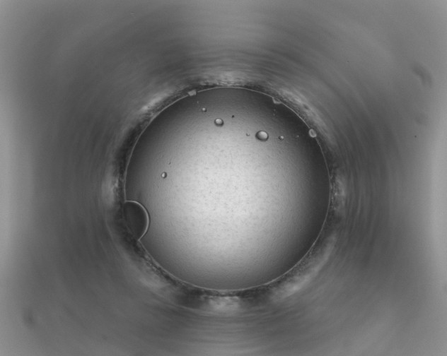 X0000112060355200908111417