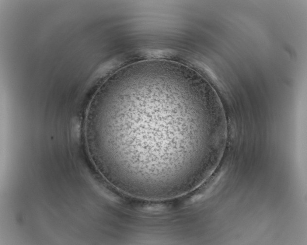 X0000112060357200908111417