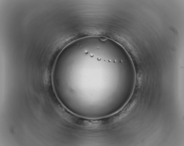 X0000112060359200908111417