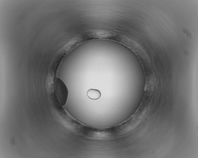 X0000112060360200908111417