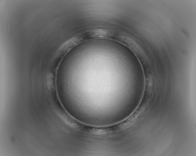 X0000112060361200908111417