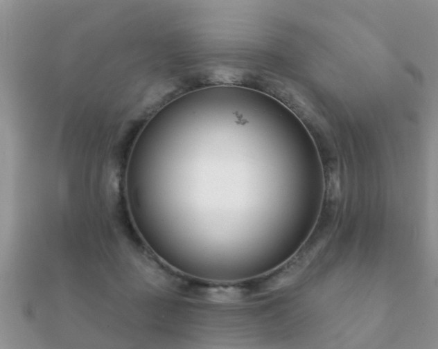 X0000112060363200908111417