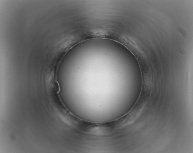 X0000112060364200908111417