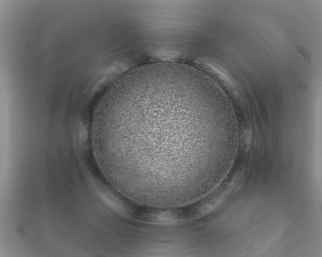 X0000112060365200908111417