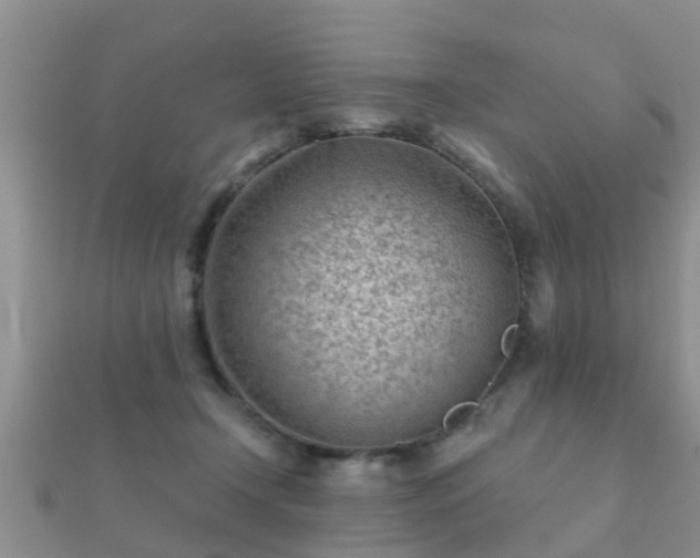 X0000112060366200908111417