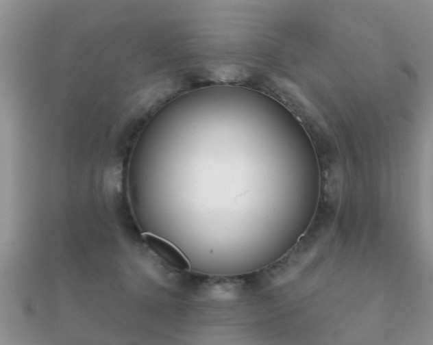 X0000112060368200908111417