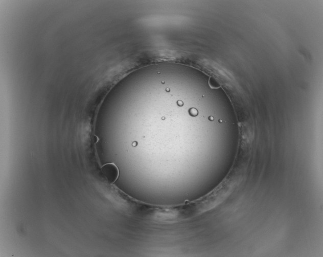 X0000112060369200908111417