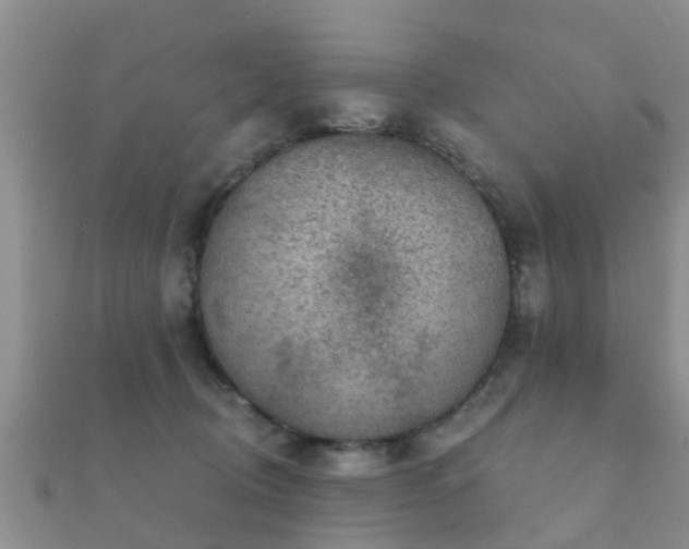 X0000112060370200908111417