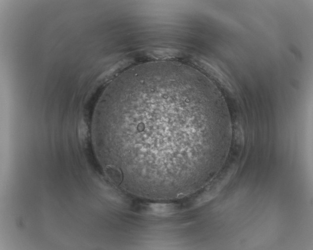 X0000112060371200908111417