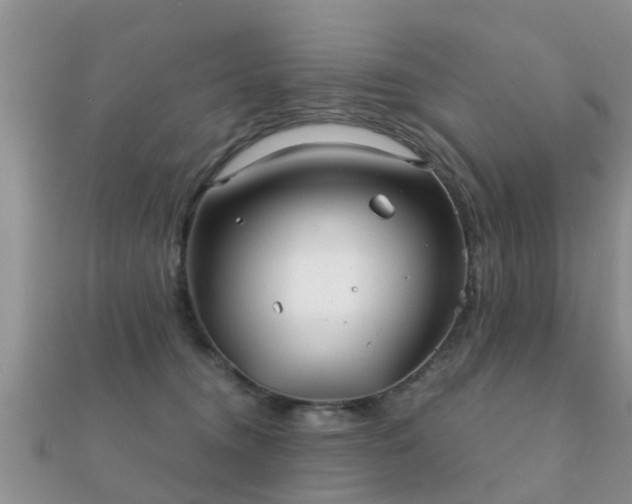 X0000112060372200908111417