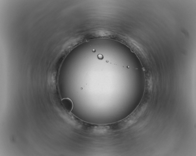 X0000112060373200908111417