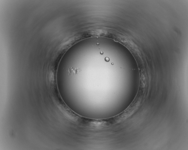 X0000112060375200908111417