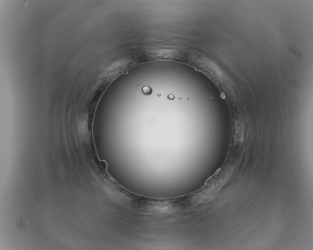 X0000112060377200908111417