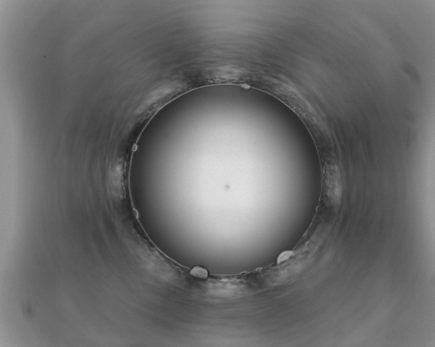 X0000112060378200908111417