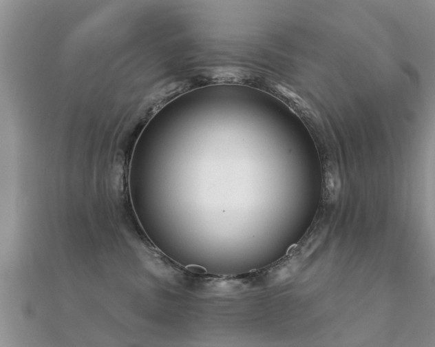 X0000112060379200908111417