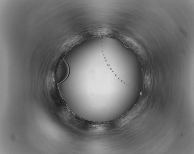 X0000112060381200908111417