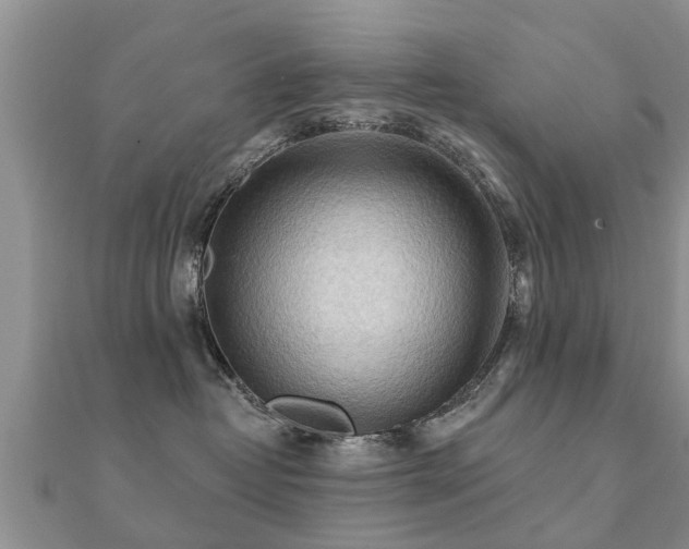 X0000112060382200908111417