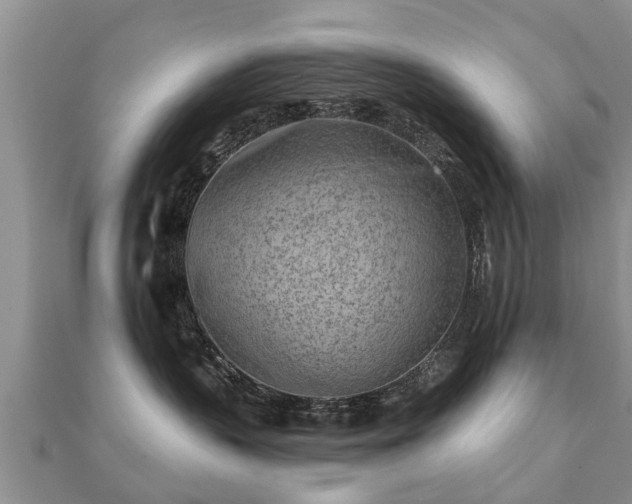 X0000112060383200908111417