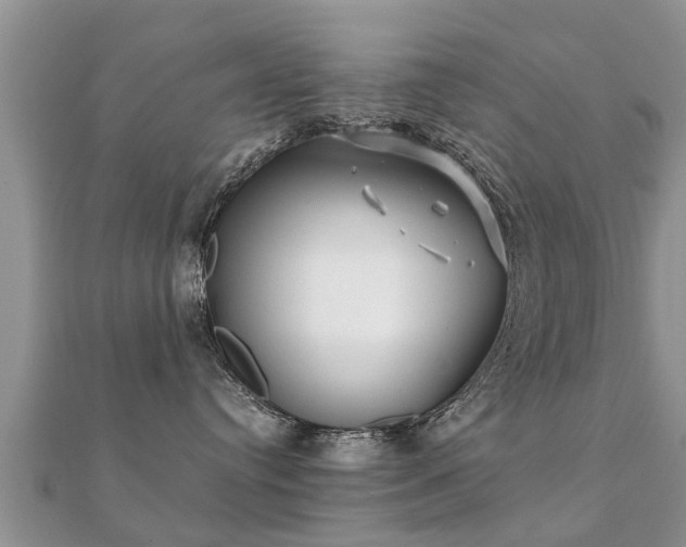 X0000112060384200908111417