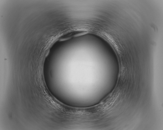 X0000112060385200908111416