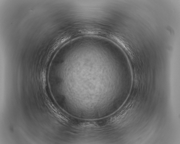 X0000112060386200908111416