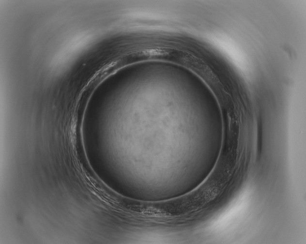 X0000112060387200908111416