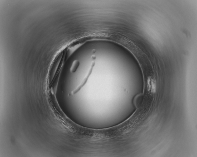 X0000112060388200908111416