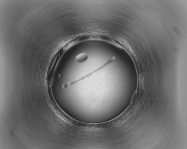 X0000112060389200908111416