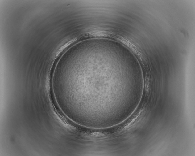 X0000112060390200908111416