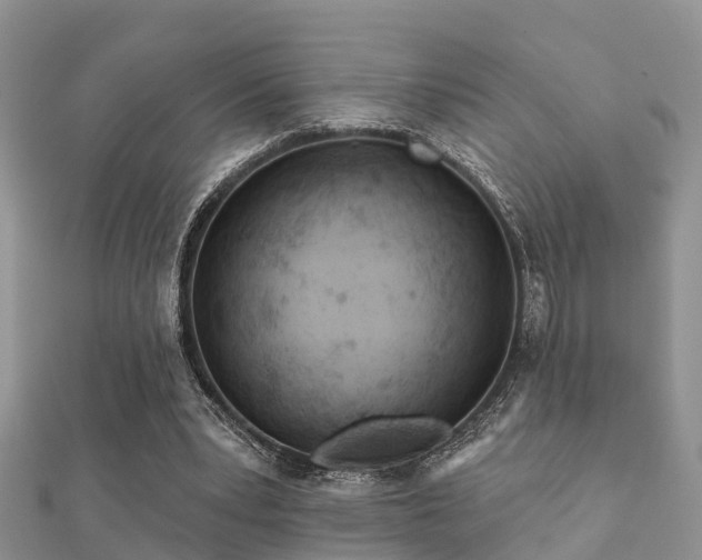 X0000112060391200908111416