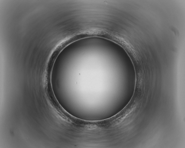 X0000112060392200908111416