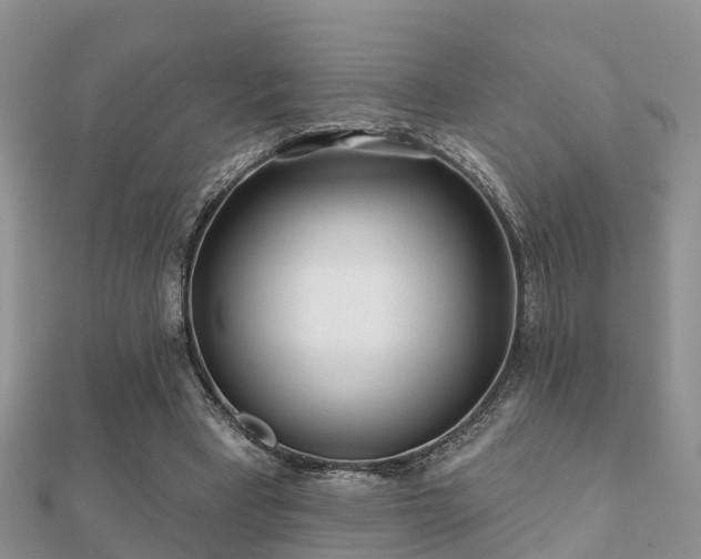 X0000112060393200908111416