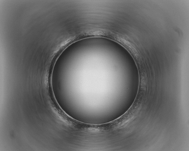 X0000112060394200908111416