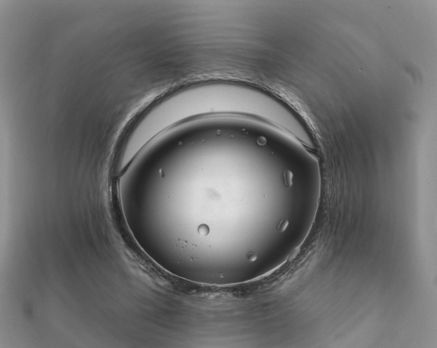 X0000112060395200908111416
