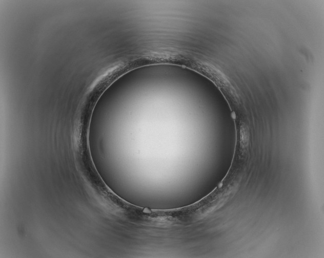 X0000112060396200908111416