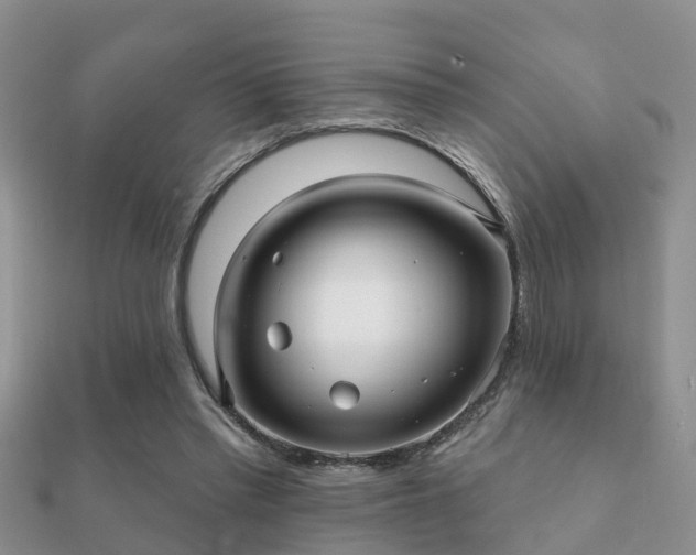 X0000112060397200908111416