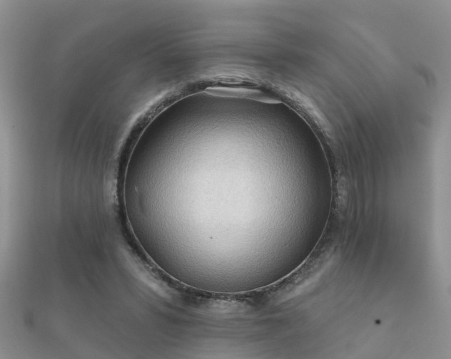 X0000112060399200908111416