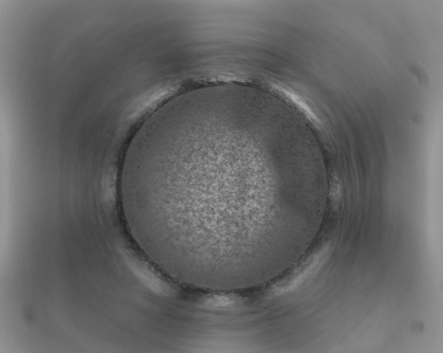 X0000112060402200908111416