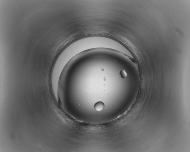 X0000112060405200908111416