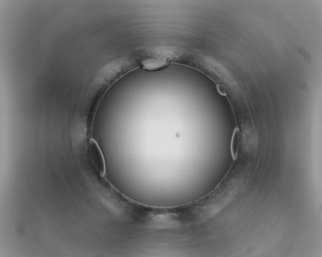 X0000112060407200908111416