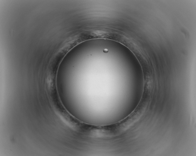 X0000112060408200908111416