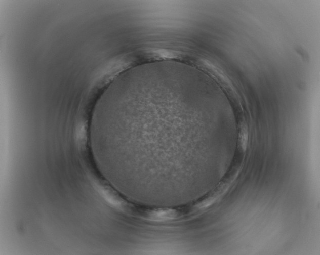 X0000112060410200908111416