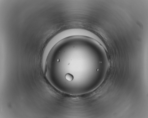 X0000112060411200908111416