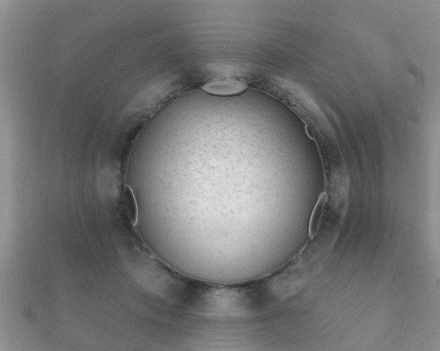X0000112060413200908111416