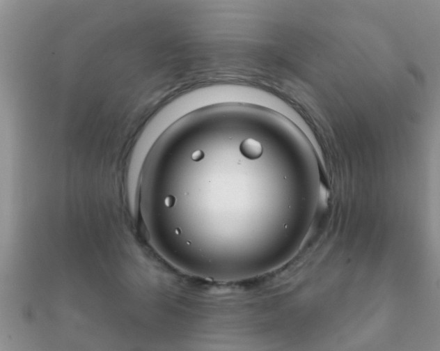 X0000112060415200908111416