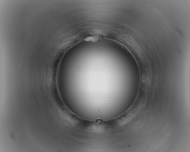 X0000112060416200908111416