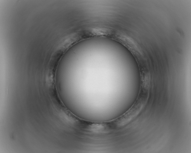 X0000112060418200908111416