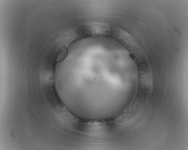 X0000112060419200908111416