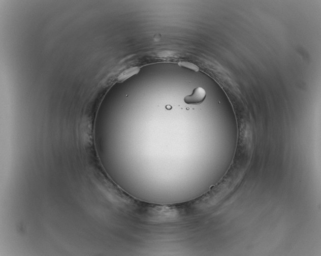 X0000112060421200908111416